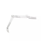 LED Magnifying Lamp with Clamp