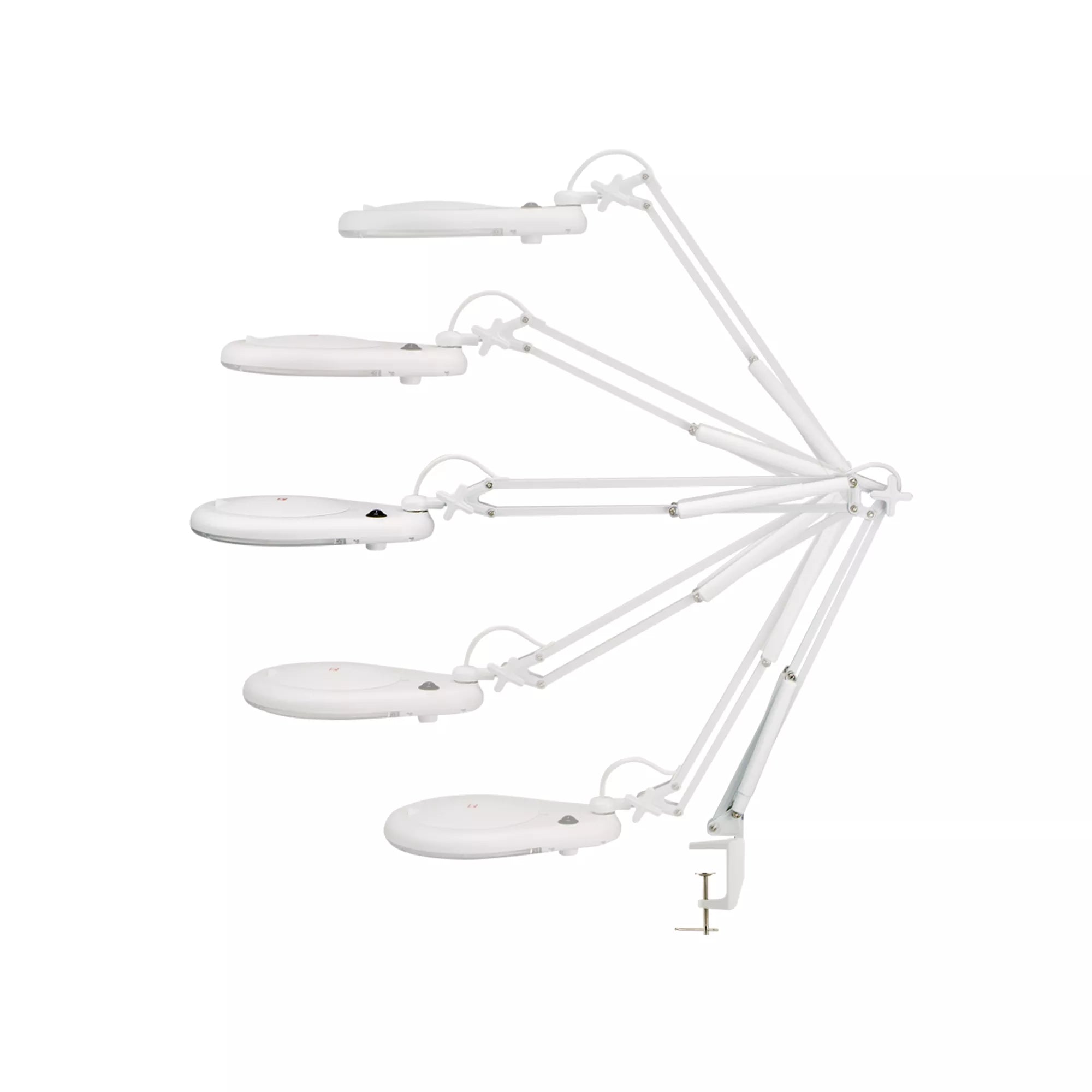 LED Magnifying Lamp with Clamp