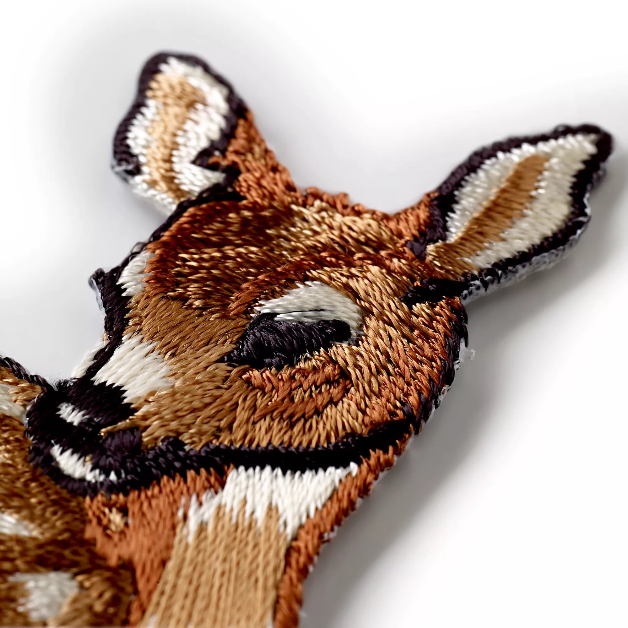 Application deer, lying down