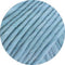 swatch-22