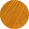 swatch-40