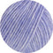 swatch-24