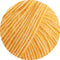 swatch-28