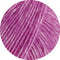 swatch-29