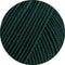 swatch-2120