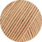swatch-2121