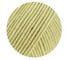 swatch-2122