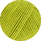 Elastico