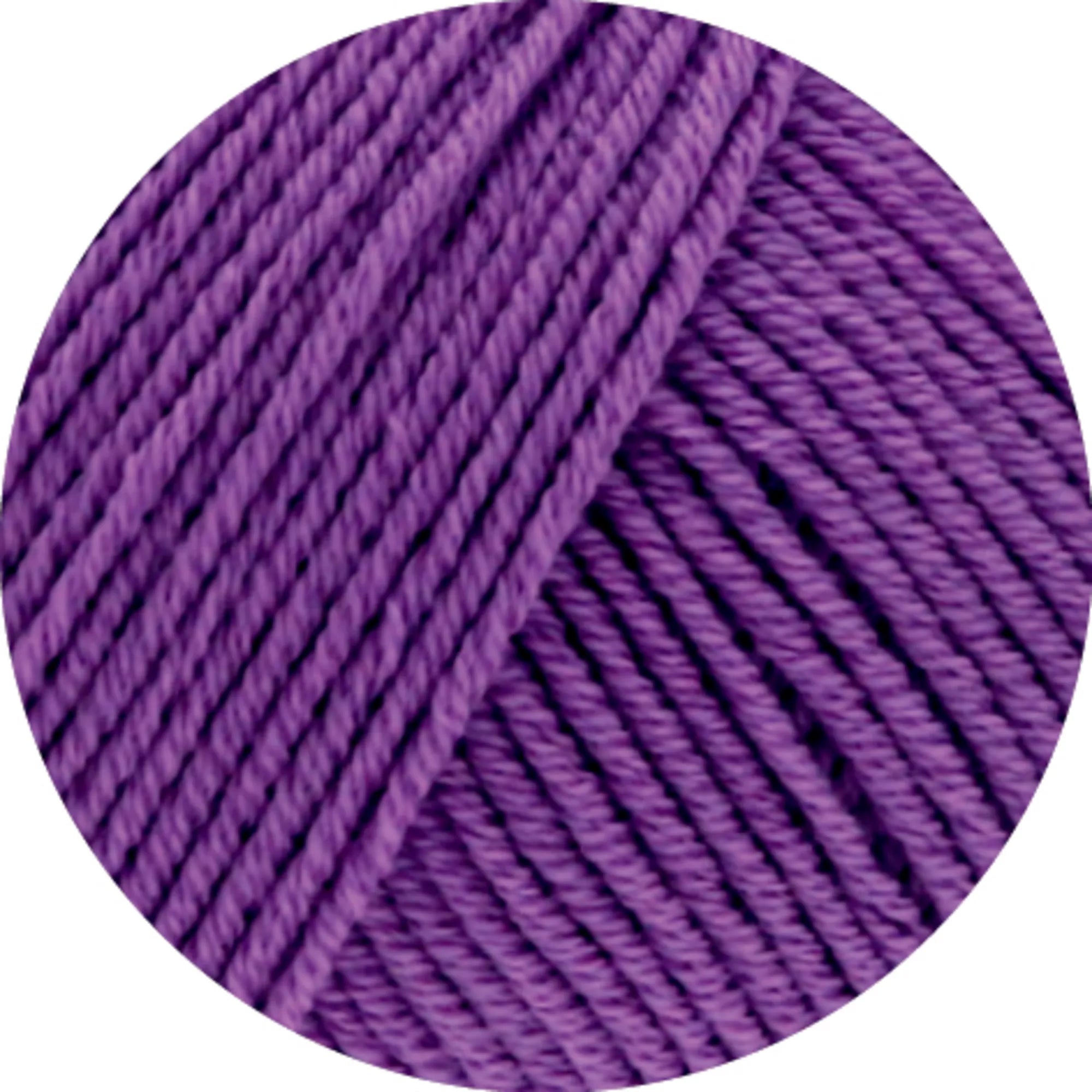 Elastico