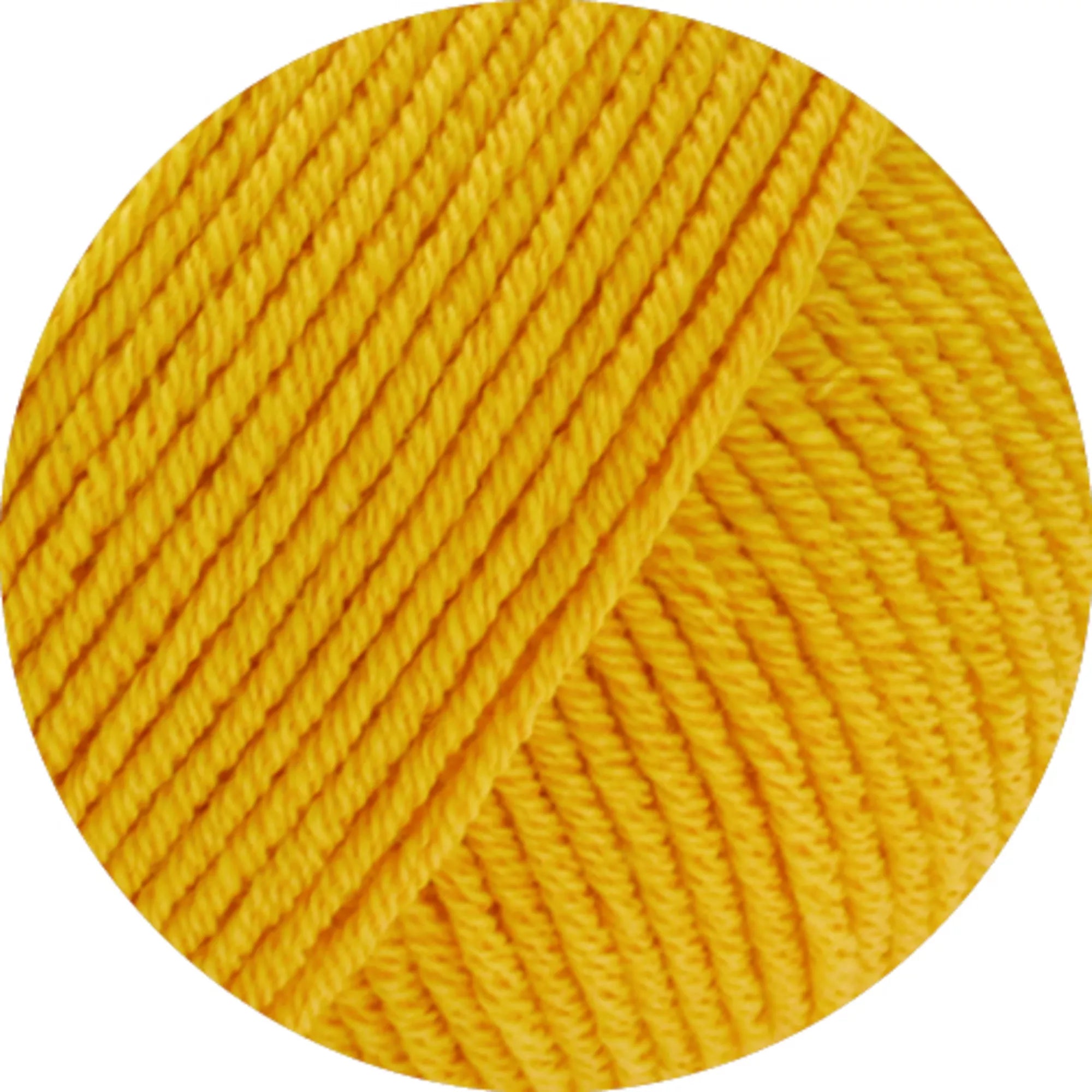 Elastico