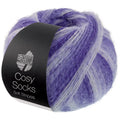 Cosy Socks Soft Stripes