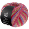 Cosy Socks Multi Stripes