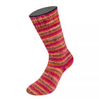 Cozy Socks Multi Stripes