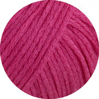 Cotton Silk