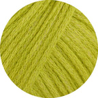 Cotton Silk