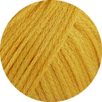 Cotton Silk