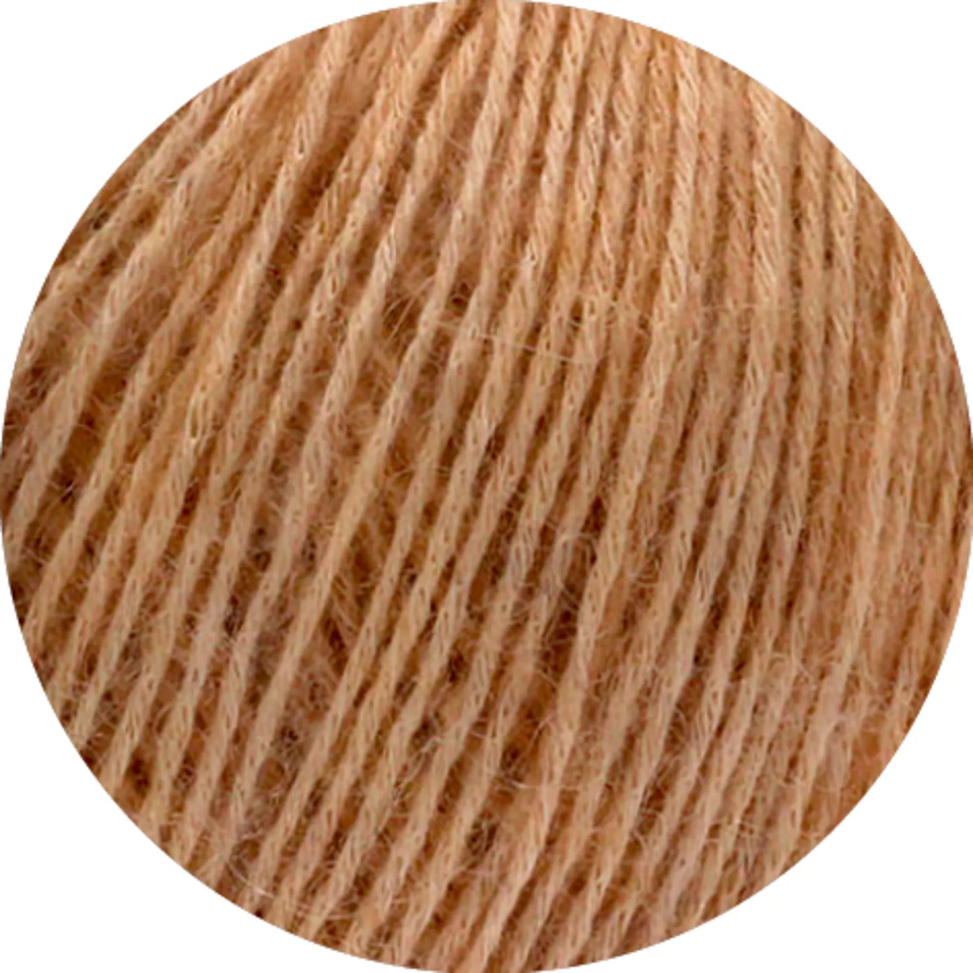 Ecopuno
