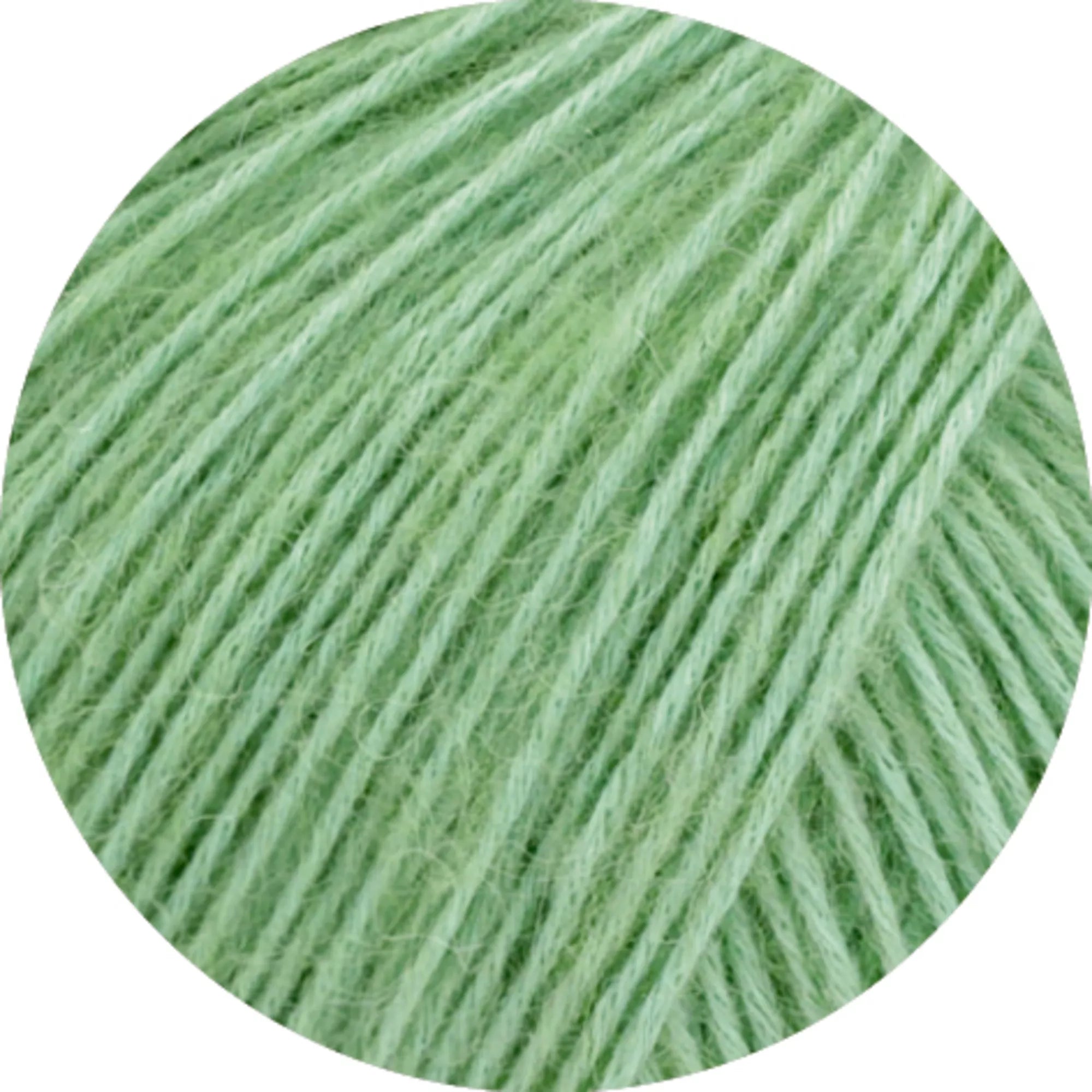 Ecopuno