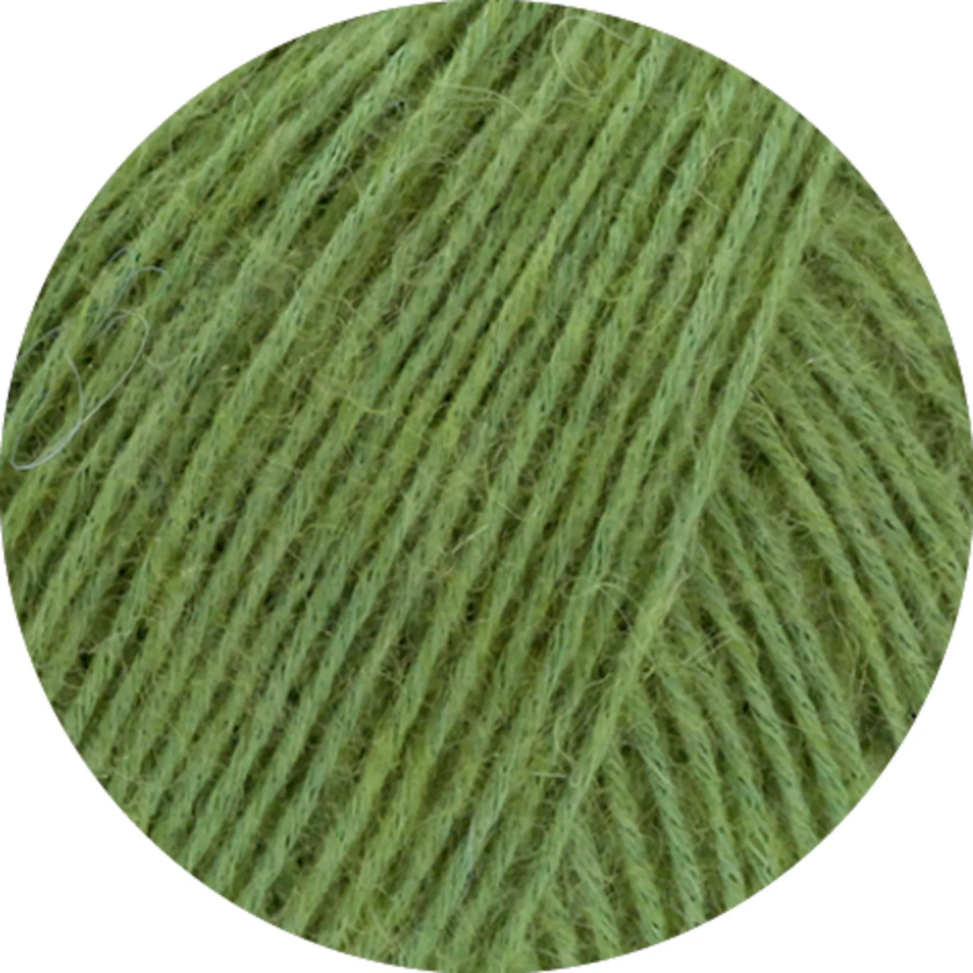 Ecopuno
