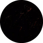 Luciole