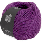 Dodici