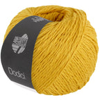 Dodici