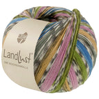 Landlust La laine à chaussettes