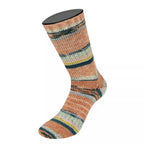 Cool Wool 4 Socks Print