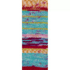 Cool Wool 4 Socks Print