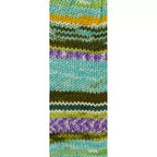 Cool Wool 4 Socks Print