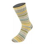 Cool Wool 4 Socks Print