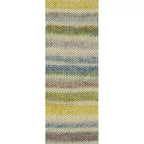 Cool Wool 4 Socks Print