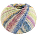 Cool Wool 4 Socks Print