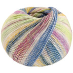 Cool Wool 4 Socks Print