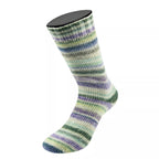 Cool Wool 4 Socks Print