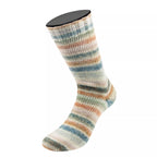 Cool Wool 4 Socks Print