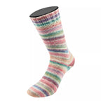 Cool Wool 4 Socks Print