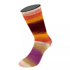 Cool Wool 4 Socks Print II