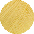 Cotonella