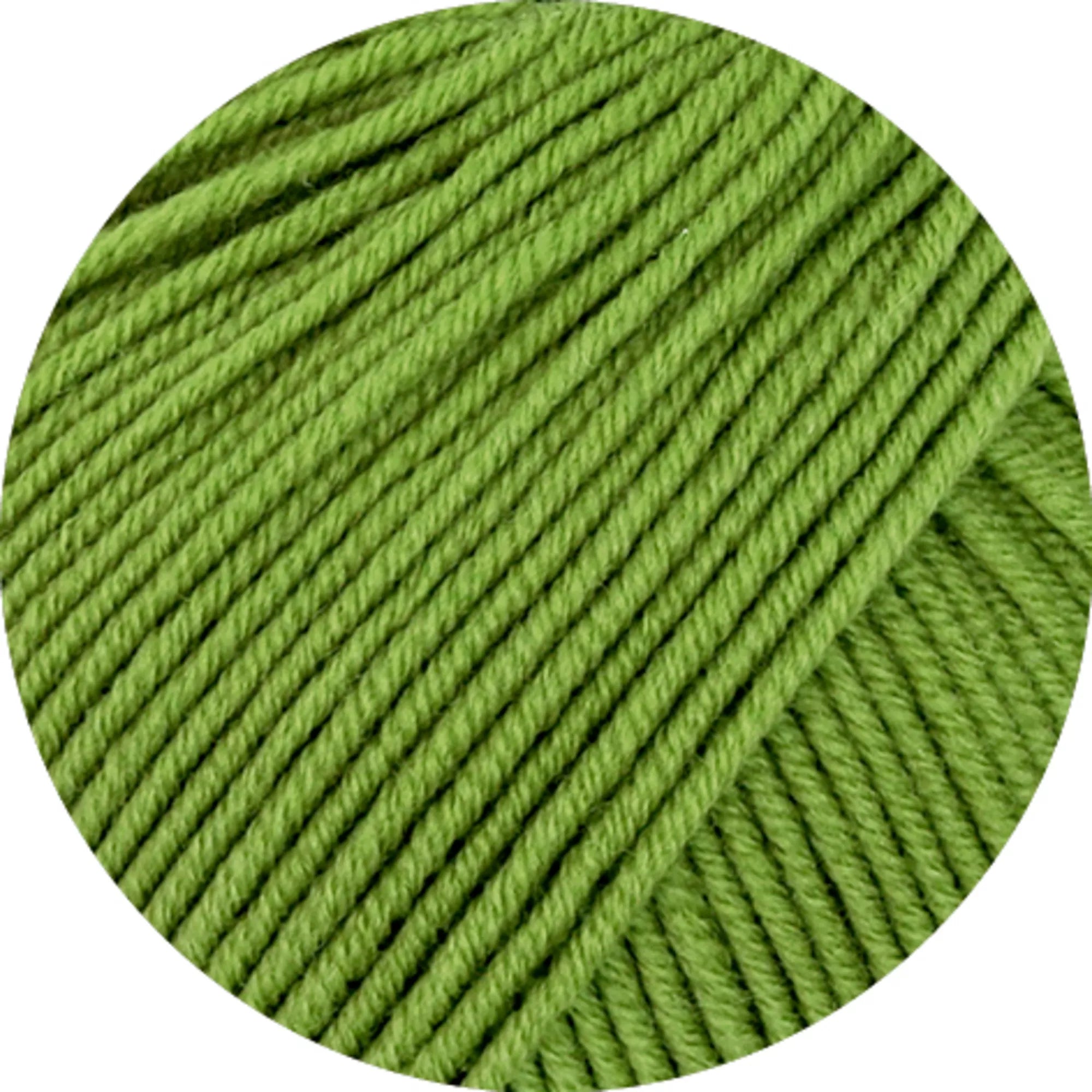 Cool Wool Big