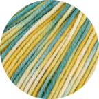 Cool Wool Print