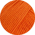 Elastico