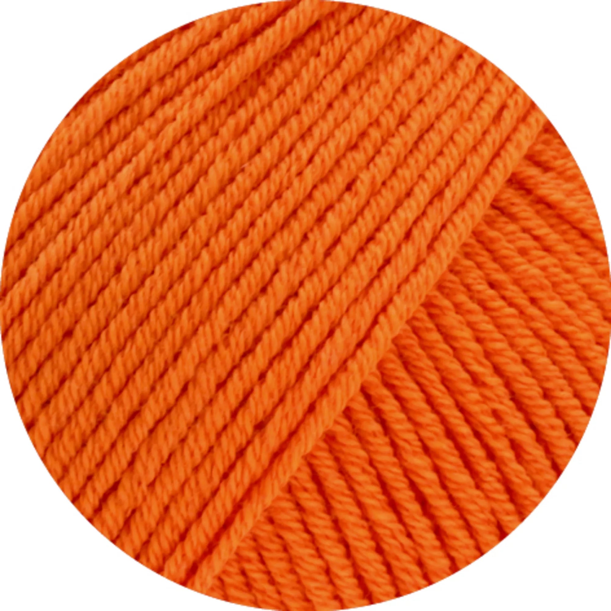 Elastico