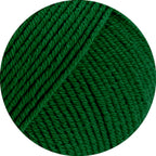 Elastico