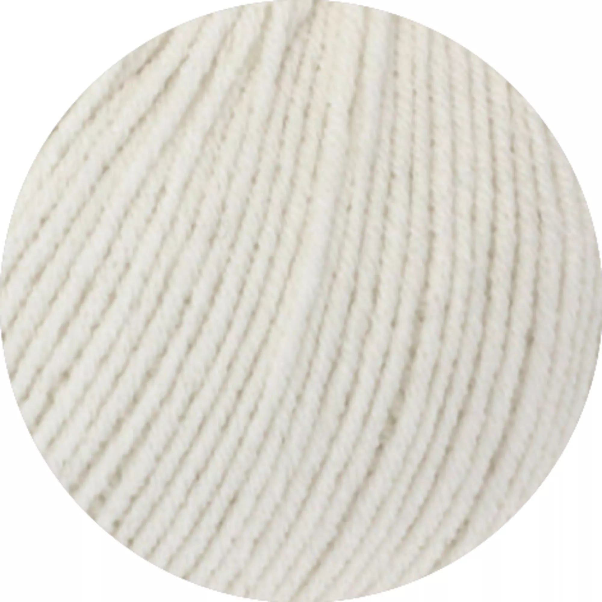 Elastico