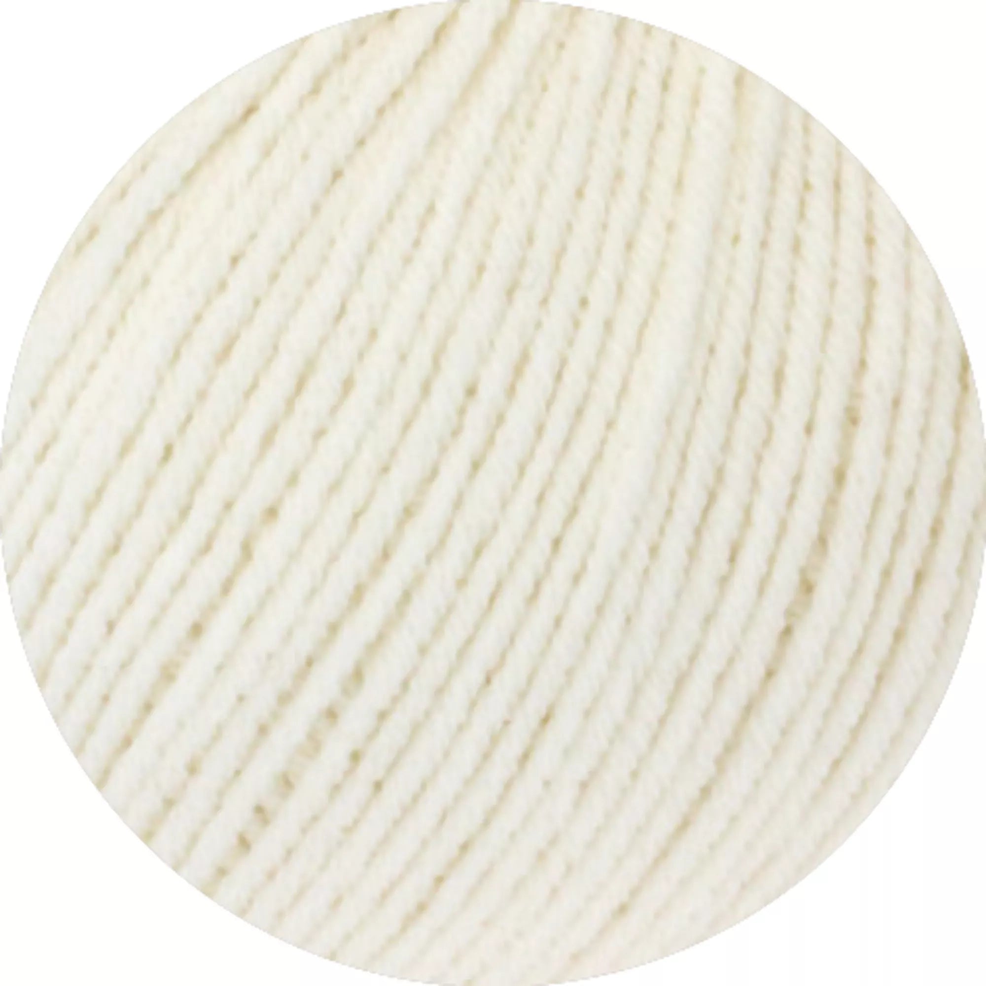 Elastico