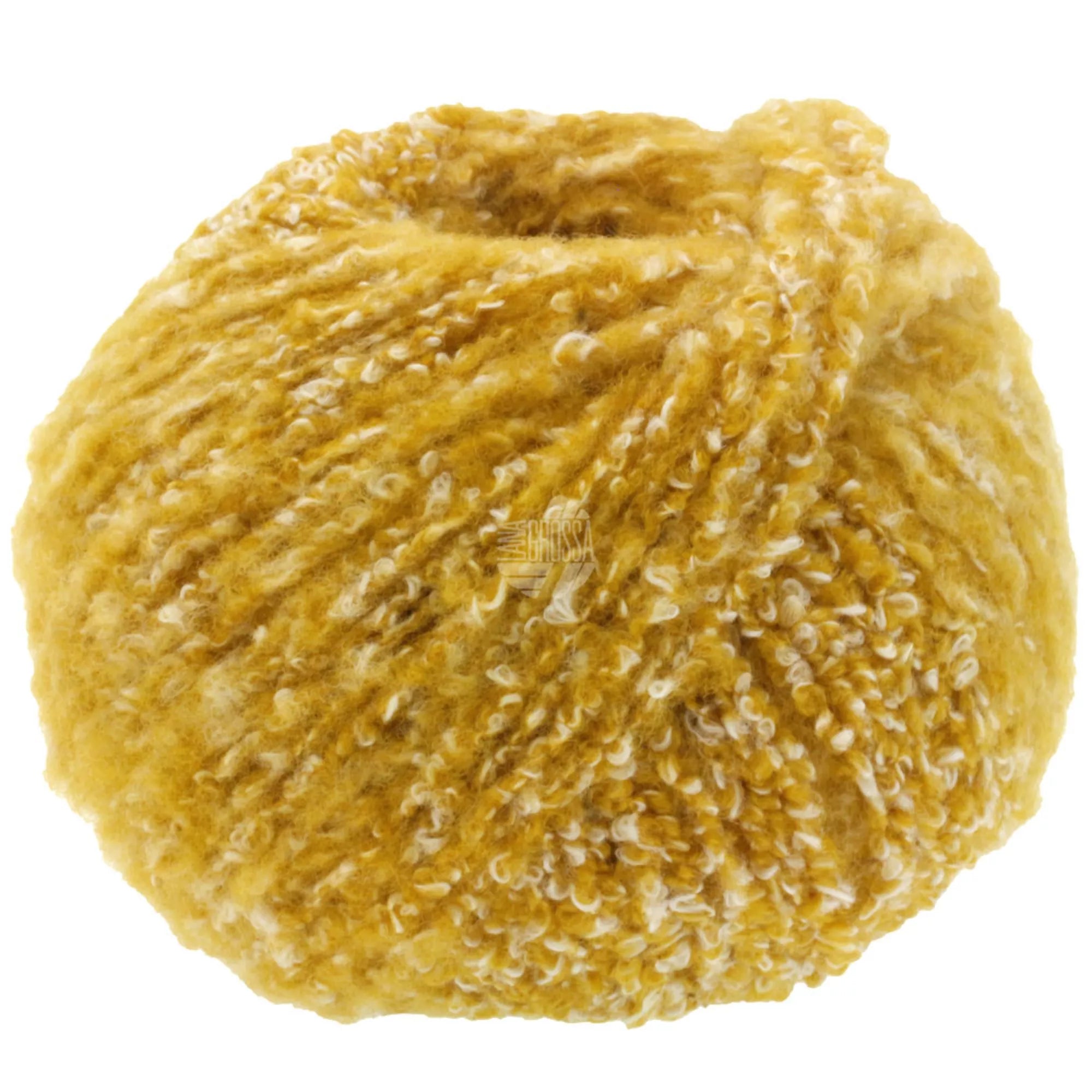 Cocco