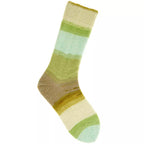 Superba Cashmeri Luxury Socks 4-fädig