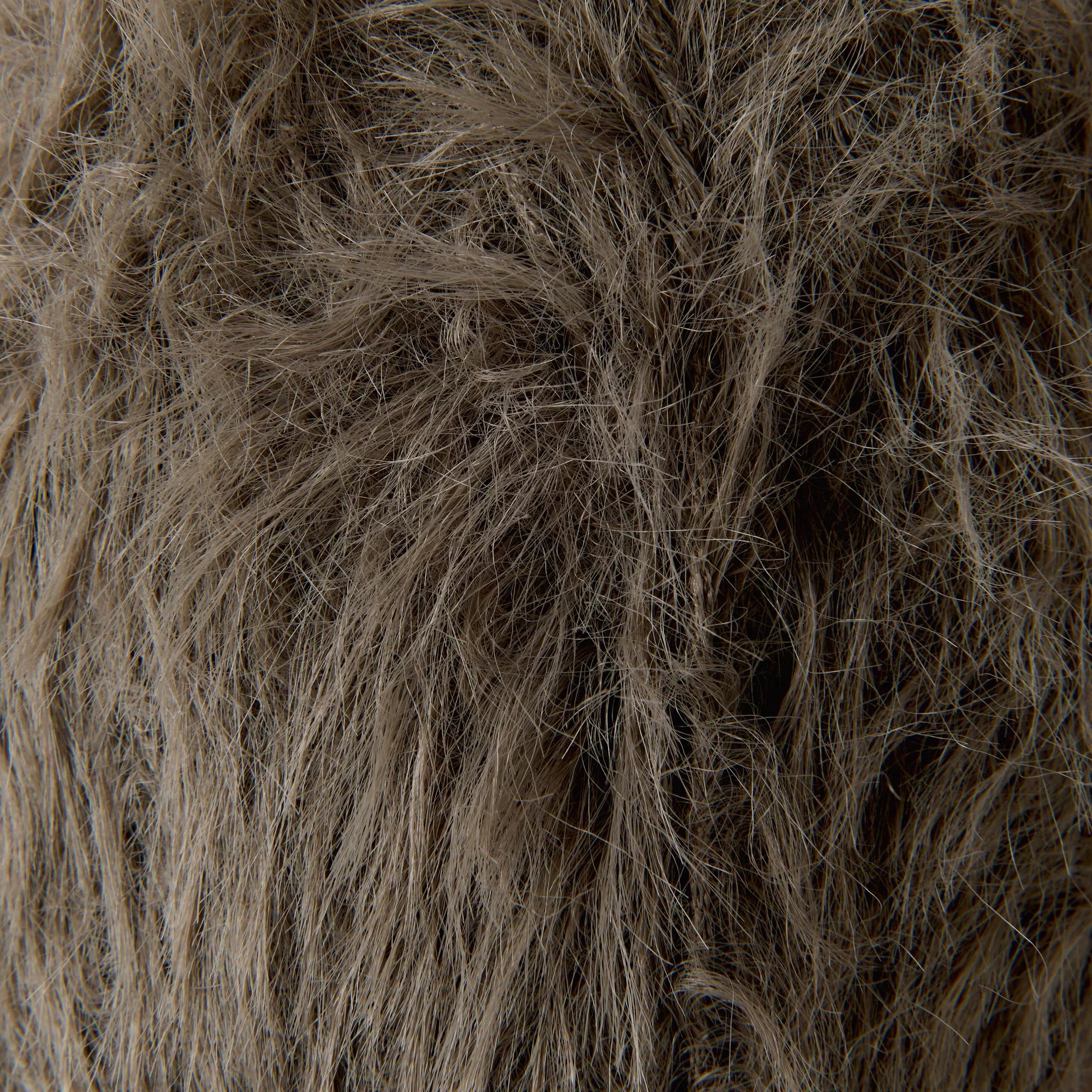 Creative Fur