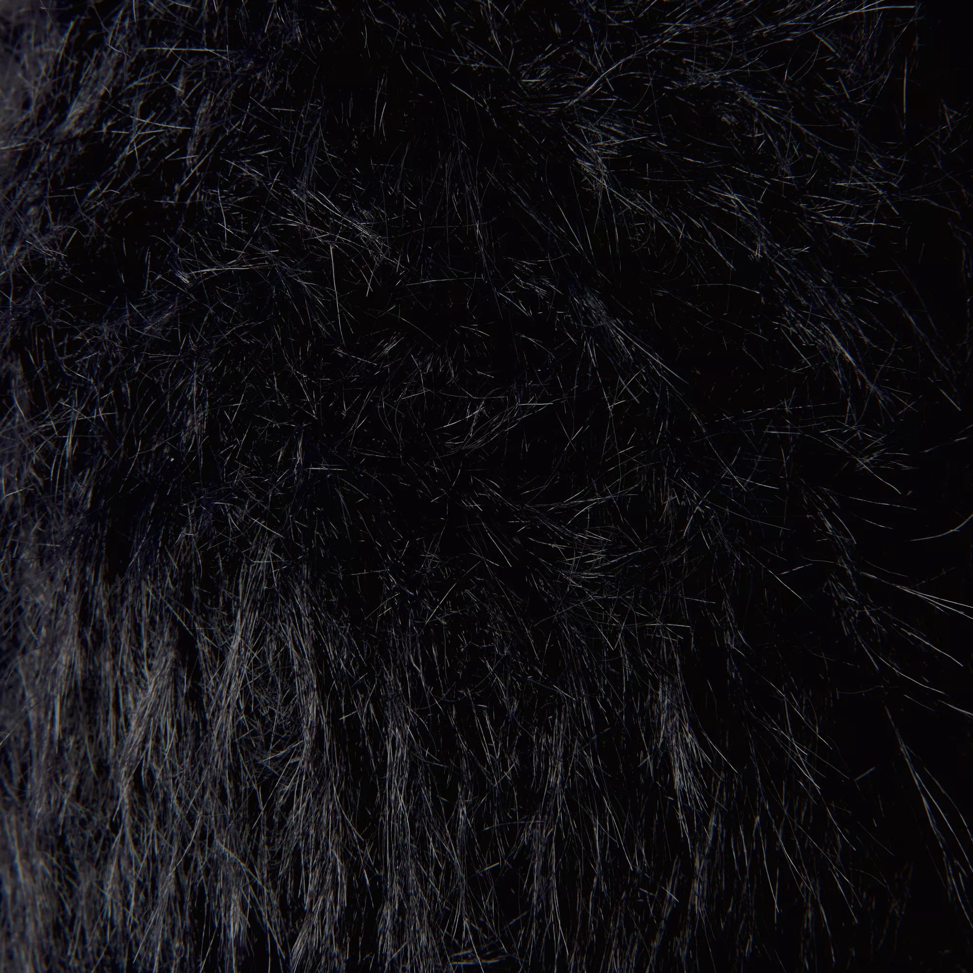 Creative Fur